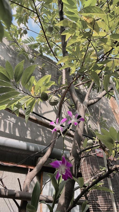 Homestay Da Nang Full House Екстер'єр фото